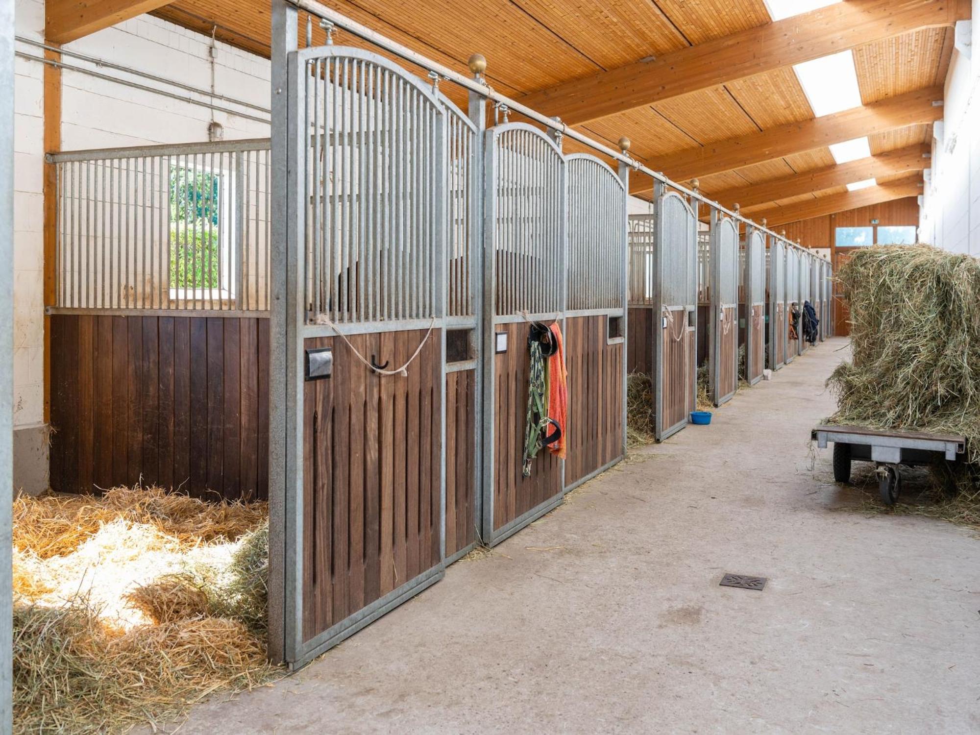 Holiday Home On A Horse Farm In The L Neburg Heath Eschede Bagian luar foto