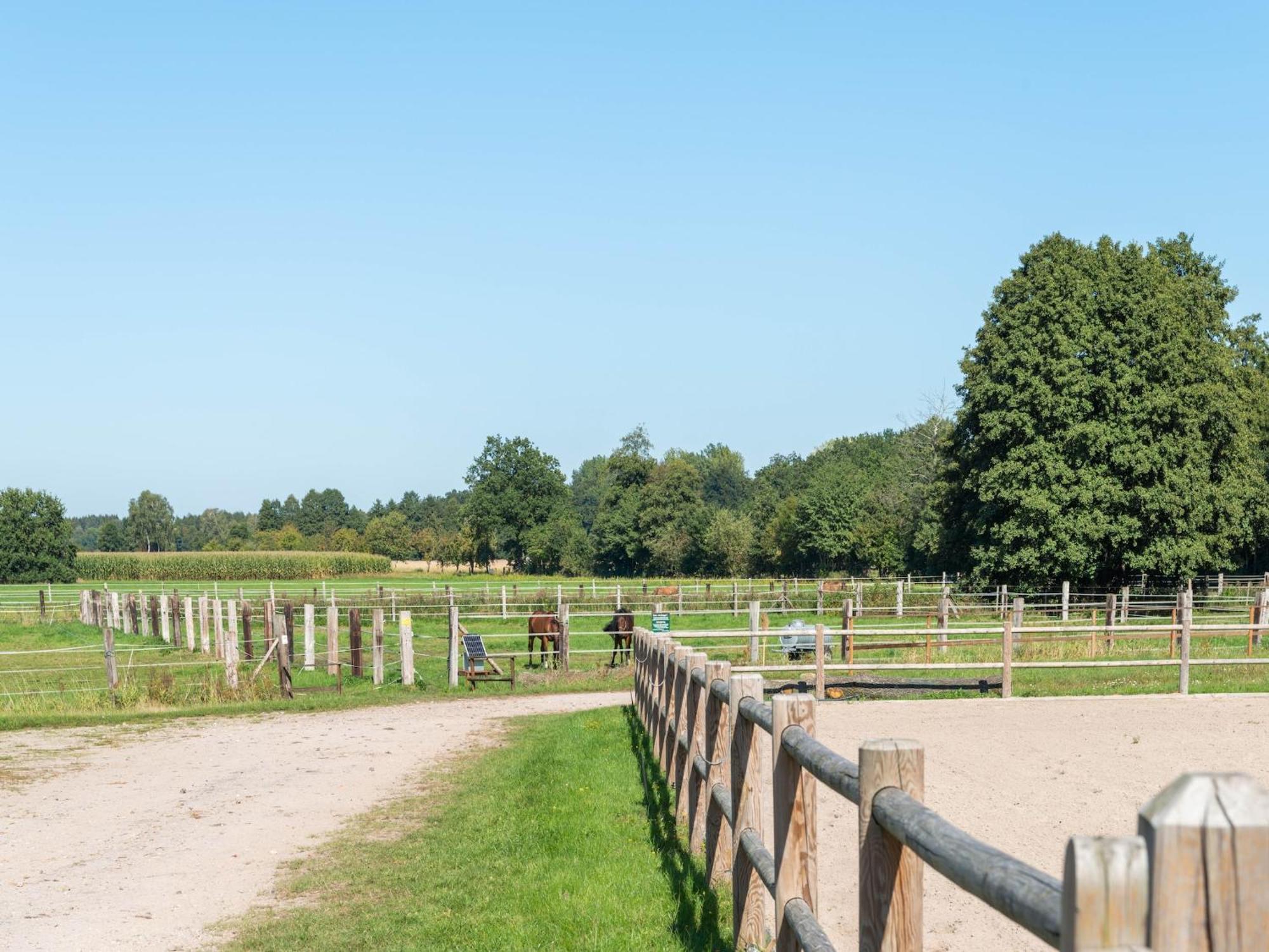 Holiday Home On A Horse Farm In The L Neburg Heath Eschede Bagian luar foto